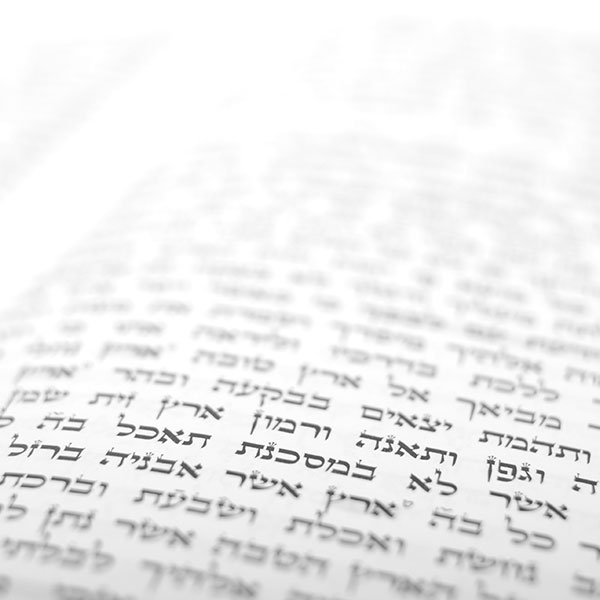 חוג תנ"ך