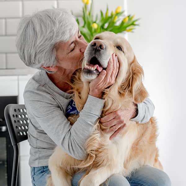 Therapeutic dog care
