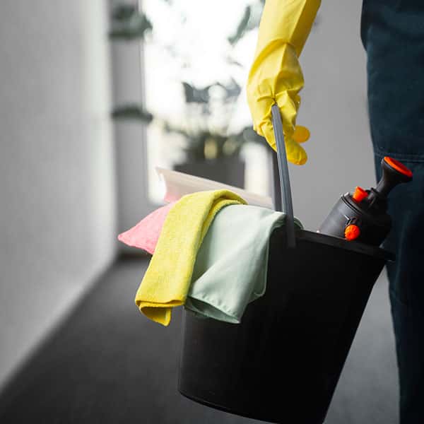 Cleaning and maintenance