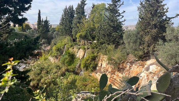 טיול דיירים לגליל התחתון 2025